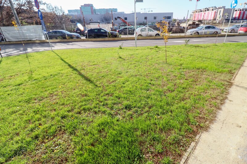 Ivory, Pipera, Nord, Rond OMV, copii, business, rezidential